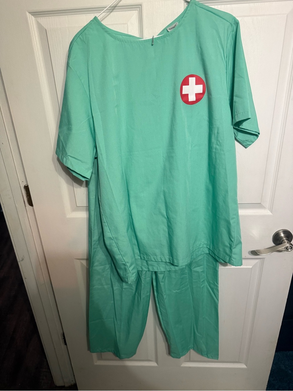 Medical Scrub Halloween Costume Set - Mint Green Adult Small from Spirit